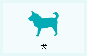 犬