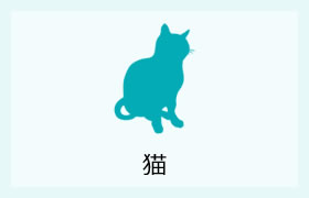 猫